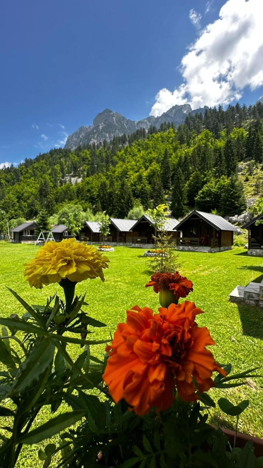 Hotel Tradita Valbona Kültér fotó